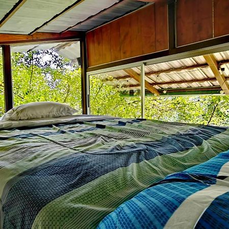 San Isidro  Cabana Treehouse Mountain View מראה חיצוני תמונה