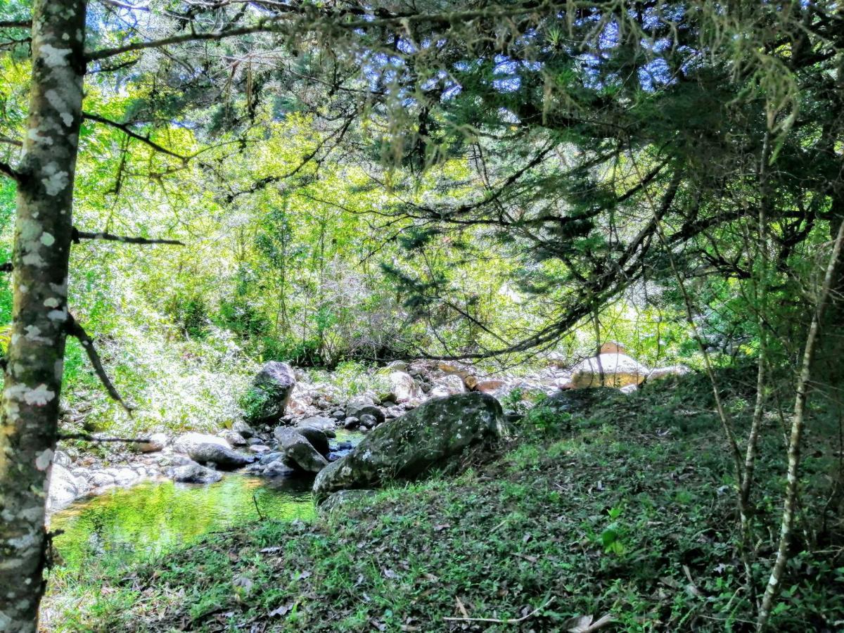 San Isidro  Cabana Treehouse Mountain View מראה חיצוני תמונה