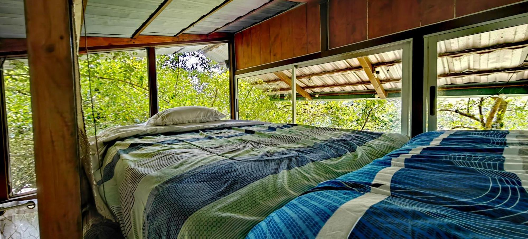 San Isidro  Cabana Treehouse Mountain View מראה חיצוני תמונה