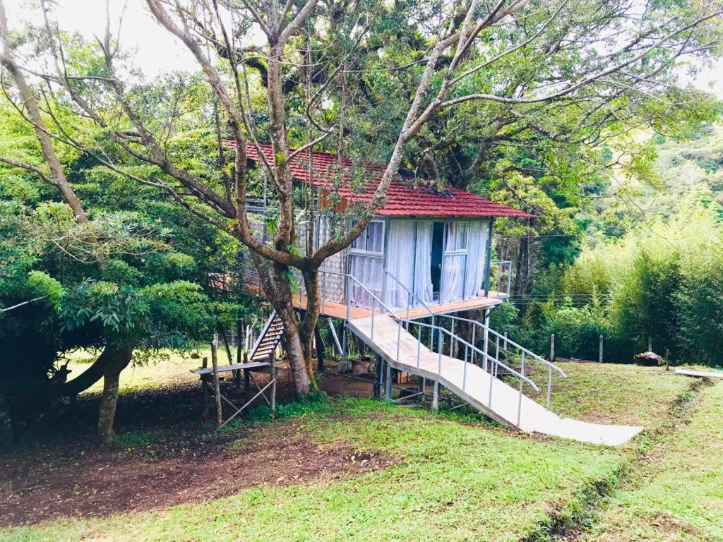 San Isidro  Cabana Treehouse Mountain View מראה חיצוני תמונה