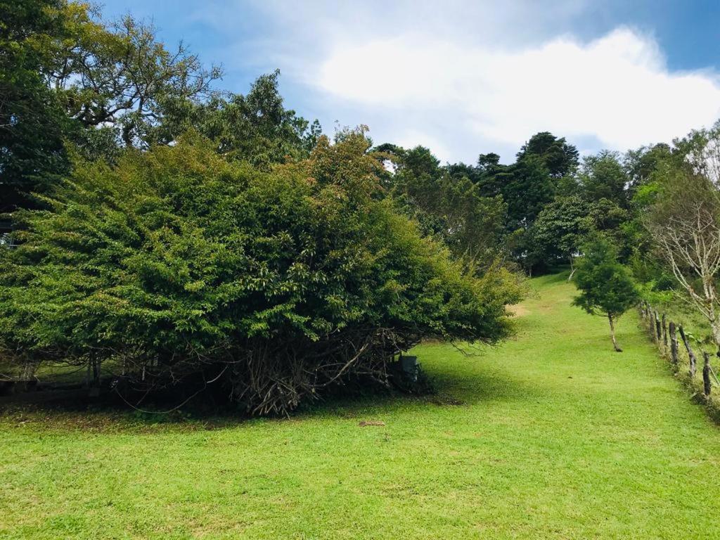 San Isidro  Cabana Treehouse Mountain View מראה חיצוני תמונה