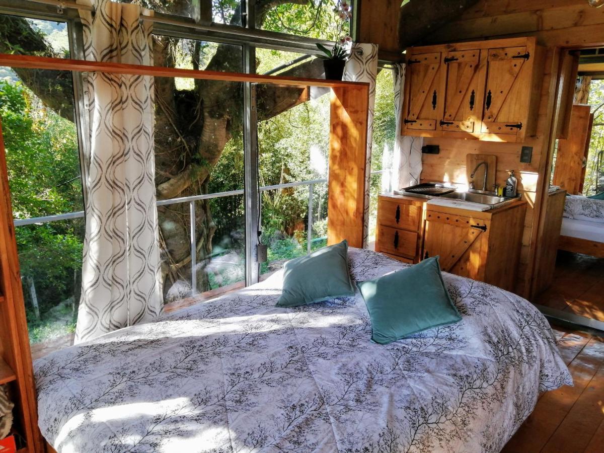 San Isidro  Cabana Treehouse Mountain View מראה חיצוני תמונה