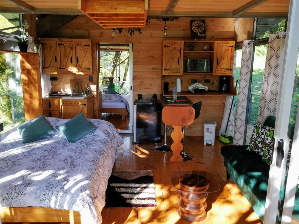 San Isidro  Cabana Treehouse Mountain View מראה חיצוני תמונה